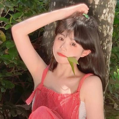 口袋妖怪萌娘进化破解版下载